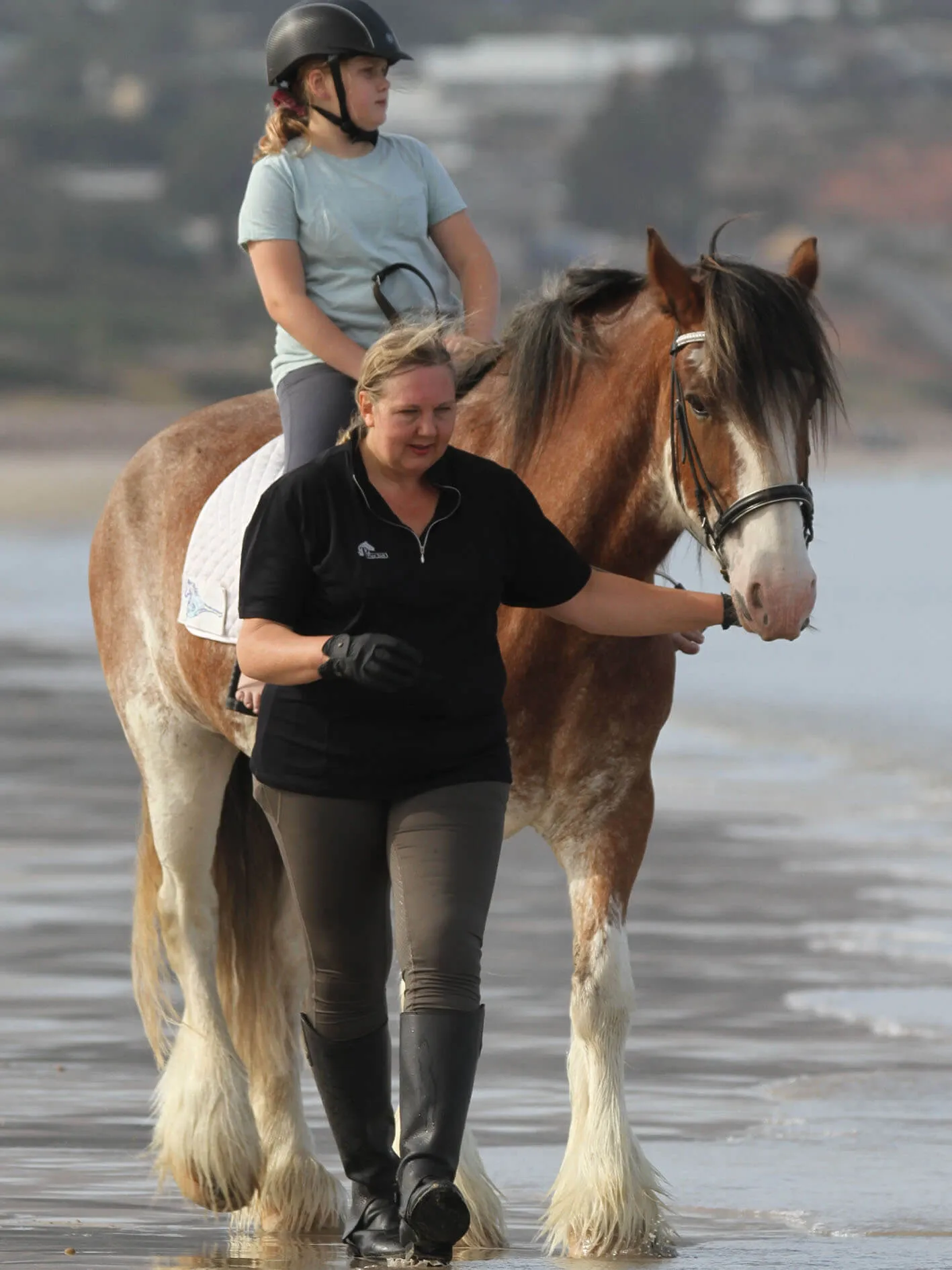 Ladies Cool Summer riding tops in black- Short sleeve