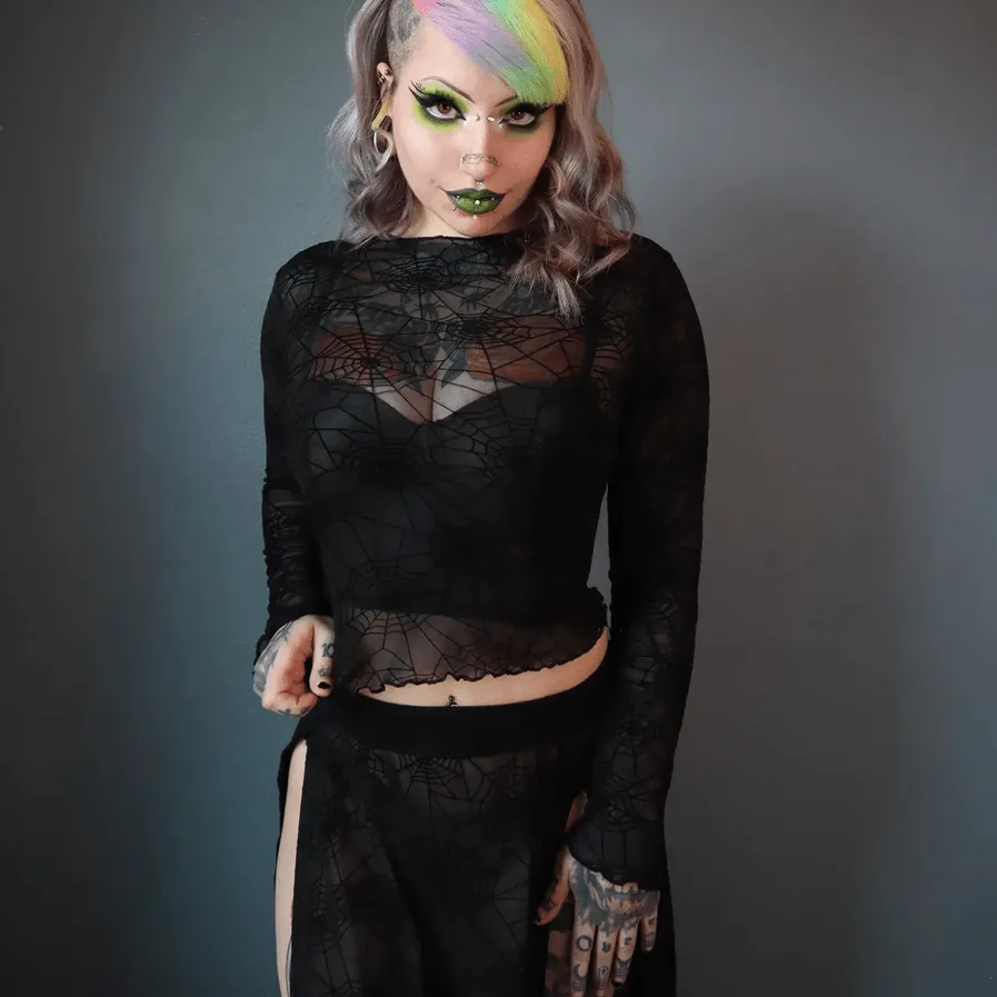 Spider Web Mesh Long Sleeve Crop Top